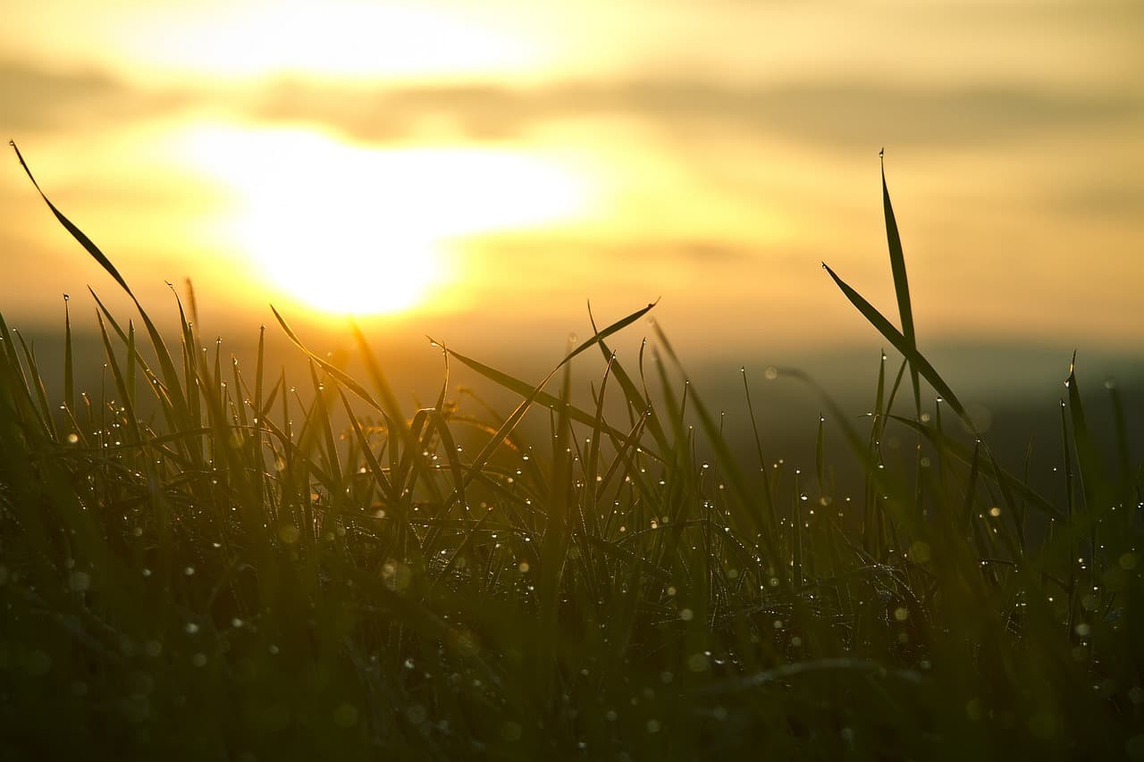Morgenlicht bricht zart durch Nebel in weichen, transformierenden Grautönen