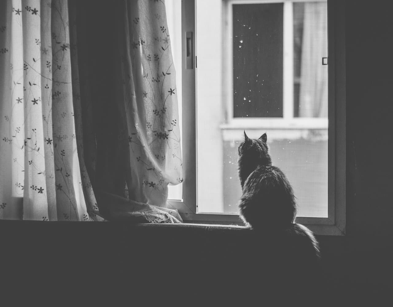 Blicke treffen sich durch Fenster und Ritzen voller Spannung